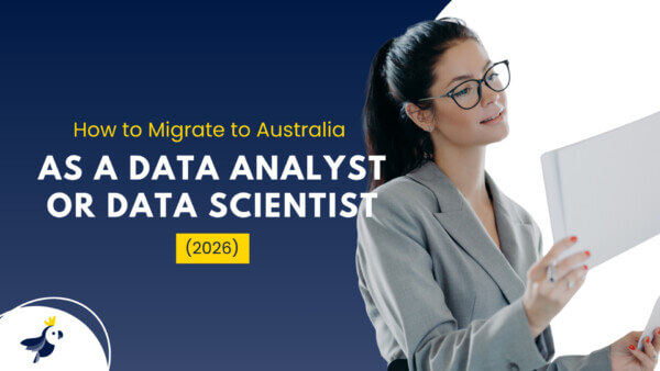data analyst